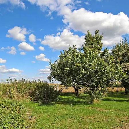 Holiday home Ferienhaeuser Auf Dem Land 8070 Hoffelde